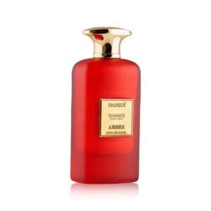 Hamidi - Ambre L'Eau de Aqua, Unisex, Apa de parfum, 100ml